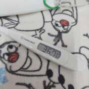 ヒメ日記 2025/08/19 11:03 投稿 ひまわり 素人妻達☆マイふぇらレディー