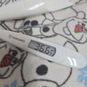 ヒメ日記 2025/10/20 11:09 投稿 ひまわり 素人妻達☆マイふぇらレディー