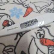 ヒメ日記 2025/11/04 11:05 投稿 ひまわり 素人妻達☆マイふぇらレディー