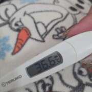 ヒメ日記 2025/11/29 11:41 投稿 ひまわり 素人妻達☆マイふぇらレディー