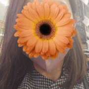 ヒメ日記 2025/12/02 18:01 投稿 ひまわり 素人妻達☆マイふぇらレディー