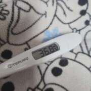 ヒメ日記 2025/12/22 11:04 投稿 ひまわり 素人妻達☆マイふぇらレディー