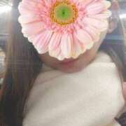 ひまわり 退勤しました 素人妻達☆マイふぇらレディー