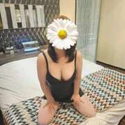 ひまわり 今日のお礼 素人妻達☆マイふぇらレディー