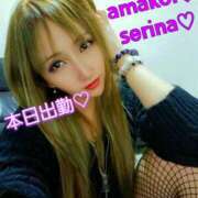 ヒメ日記 2024/12/20 07:34 投稿 せりな 甘い恋人　所沢店