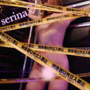 ヒメ日記 2025/04/20 17:24 投稿 せりな 甘い恋人　所沢店