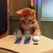 ヒメ日記 2025/06/22 20:55 投稿 せりな 甘い恋人　所沢店