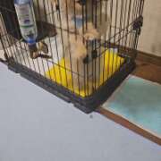 ヒメ日記 2025/08/30 21:30 投稿 せりな 甘い恋人　所沢店