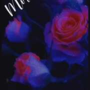 ヒメ日記 2025/11/11 07:00 投稿 せりな 甘い恋人 所沢店