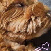 ヒメ日記 2026/04/11 11:09 投稿 せりな 甘い恋人　所沢店