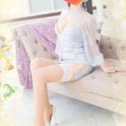 ヒメ日記 2025/11/16 08:34 投稿 小嶋 ローズマリー大塚