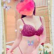 ヒメ日記 2025/11/19 20:14 投稿 小嶋 ローズマリー大塚