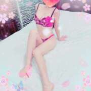 ヒメ日記 2026/02/16 20:54 投稿 小嶋 ローズマリー大塚