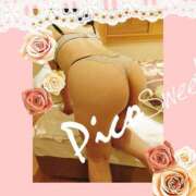 ヒメ日記 2024/12/24 08:13 投稿 葵-あおい- AVANT GARDE