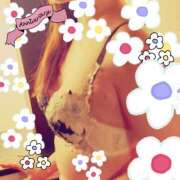 ヒメ日記 2025/12/20 15:52 投稿 葵-あおい- AVANT GARDE