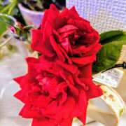 ヒメ日記 2025/01/06 22:17 投稿 薫ママ 鶯谷まい・ぷりんせす