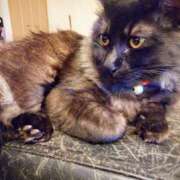 ヒメ日記 2025/01/10 13:58 投稿 薫ママ 鶯谷まい・ぷりんせす