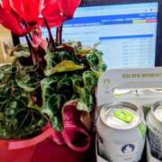 ヒメ日記 2025/01/11 17:58 投稿 薫ママ 鶯谷まい・ぷりんせす