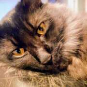 ヒメ日記 2025/01/21 15:18 投稿 薫ママ 鶯谷まい・ぷりんせす