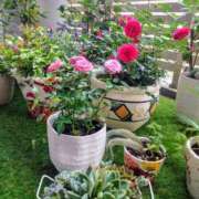 ヒメ日記 2025/02/01 07:58 投稿 薫ママ 鶯谷まい・ぷりんせす