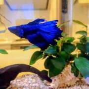 ヒメ日記 2025/02/13 09:09 投稿 薫ママ 鶯谷まい・ぷりんせす