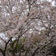 ヒメ日記 2025/02/18 16:30 投稿 薫ママ 鶯谷まい・ぷりんせす