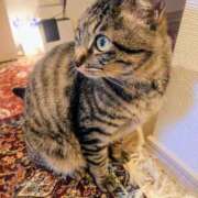 ヒメ日記 2025/02/24 21:16 投稿 薫ママ 鶯谷まい・ぷりんせす