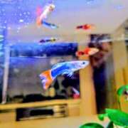 ヒメ日記 2025/02/28 18:03 投稿 薫ママ 鶯谷まい・ぷりんせす