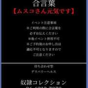 ヒメ日記 2025/05/14 11:06 投稿 きき 奴隷コレクション