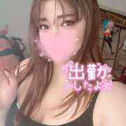 ヒメ日記 2025/08/25 11:00 投稿 きき 奴隷コレクション