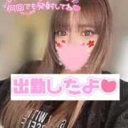 ヒメ日記 2025/10/25 13:31 投稿 きき 奴隷コレクション