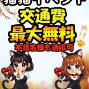 ヒメ日記 2026/02/22 11:33 投稿 きき 奴隷コレクション