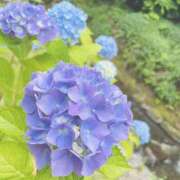 ヒメ日記 2025/05/27 09:33 投稿 黒川 華恋人(カレント)