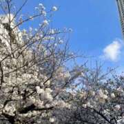 ヒメ日記 2026/03/09 09:10 投稿 黒川 華恋人(カレント)