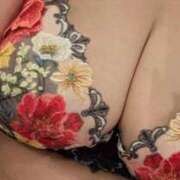 ヒメ日記 2025/11/27 10:24 投稿 青山 ローズマリー大塚