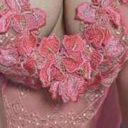 ヒメ日記 2026/04/28 10:27 投稿 青山 ローズマリー大塚