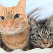 ヒメ日記 2025/02/22 22:57 投稿 ルミナ ナイスレディ