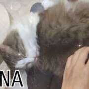 ヒメ日記 2025/04/06 18:30 投稿 【あきな】モデル系ドMな女神 コーチと私と、ビート板･･･