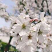 ヒメ日記 2025/04/10 11:50 投稿 【あきな】モデル系ドMな女神 コーチと私と、ビート板･･･