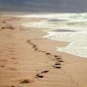 ヒメ日記 2025/02/20 18:00 投稿 桜川晶 五十路マダム金沢店