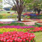 ましろ お礼 新妻物語