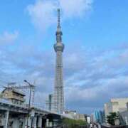 ヒメ日記 2025/01/01 11:29 投稿 野々村 ローズマリー大塚