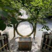 ヒメ日記 2025/06/28 21:44 投稿 野々村 ローズマリー大塚