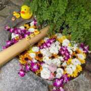 ヒメ日記 2025/07/05 21:34 投稿 野々村 ローズマリー大塚