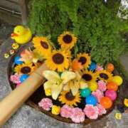 ヒメ日記 2025/08/04 19:54 投稿 野々村 ローズマリー大塚