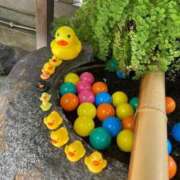 ヒメ日記 2025/08/23 23:44 投稿 野々村 ローズマリー大塚