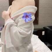 ヒメ日記 2025/09/10 07:54 投稿 野々村 ローズマリー大塚