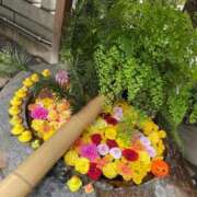 ヒメ日記 2025/11/02 19:44 投稿 野々村 ローズマリー大塚