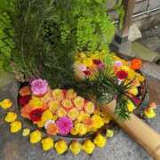 ヒメ日記 2025/11/18 23:24 投稿 野々村 ローズマリー大塚