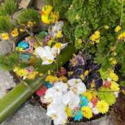 ヒメ日記 2026/01/02 19:44 投稿 野々村 ローズマリー大塚